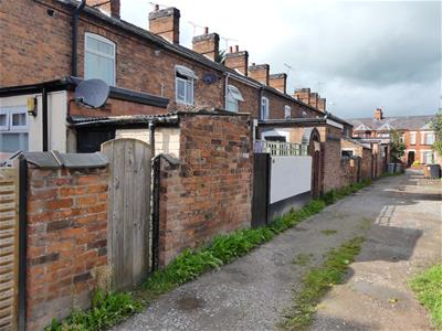 Picture 20